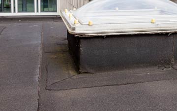 disadvantages of Swainby flat roofs