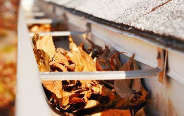 Swainby gutter cleaning companies