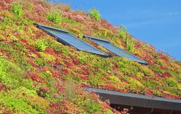 Swainby living roof systems