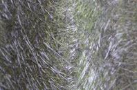 Swainby fibreglass roof work